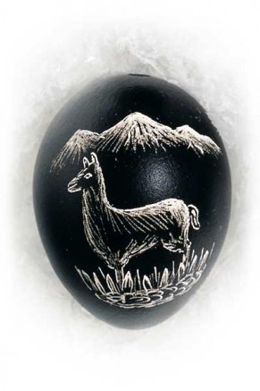 Llama (an-10)